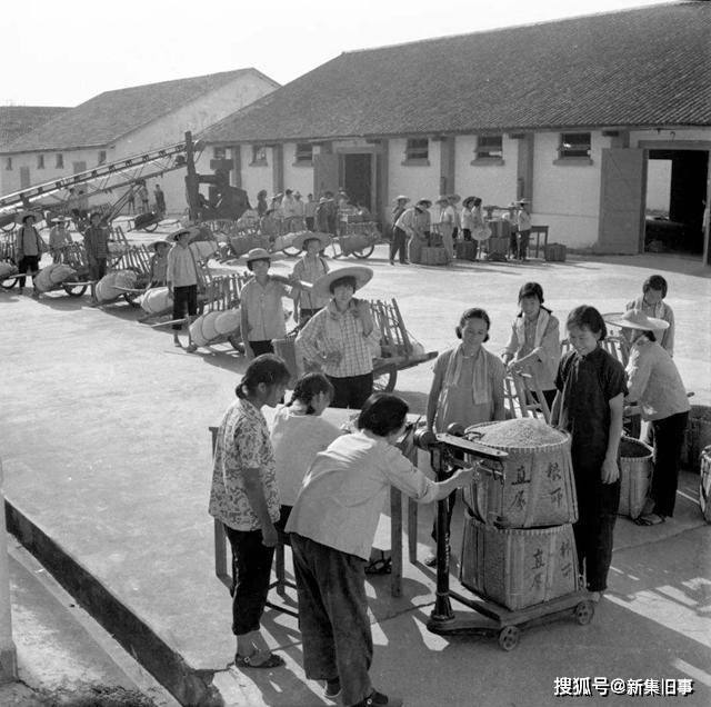 @郝国中杂谈 ：一个交过＂公粮＂的农民回忆：交公粮的那些年里，我和父母几乎把家里最好的粮食挑出来交给它们，但到了粮仓那里，收公粮的人趾高气扬，高高在上不说，还挑三拣四，部分人真是低三下四的在哀求他们收下